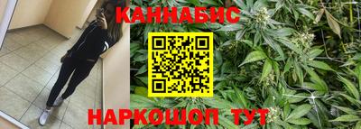 индика Краснознаменск