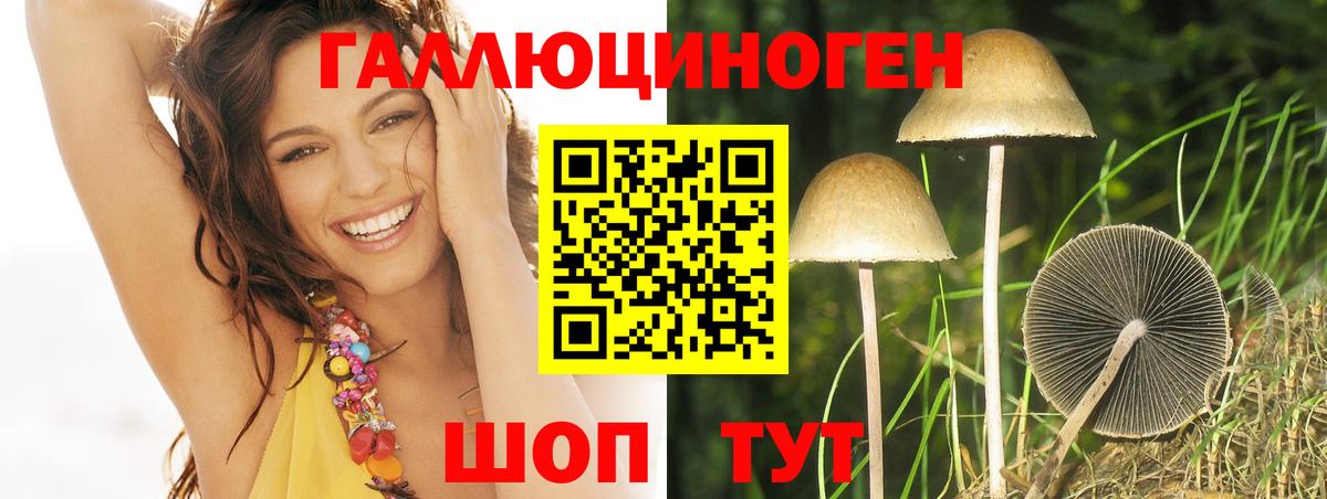Псилоцибиновые грибы GOLDEN TEACHER Кирово-Чепецк