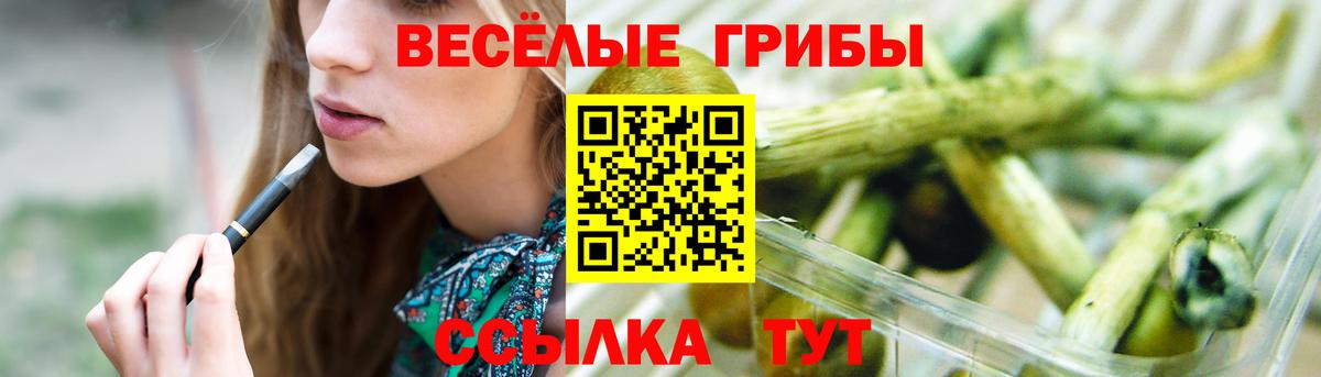 Кирово-Чепецк  Галлюциногенные грибы Psilocybe  Вход с VPN 
